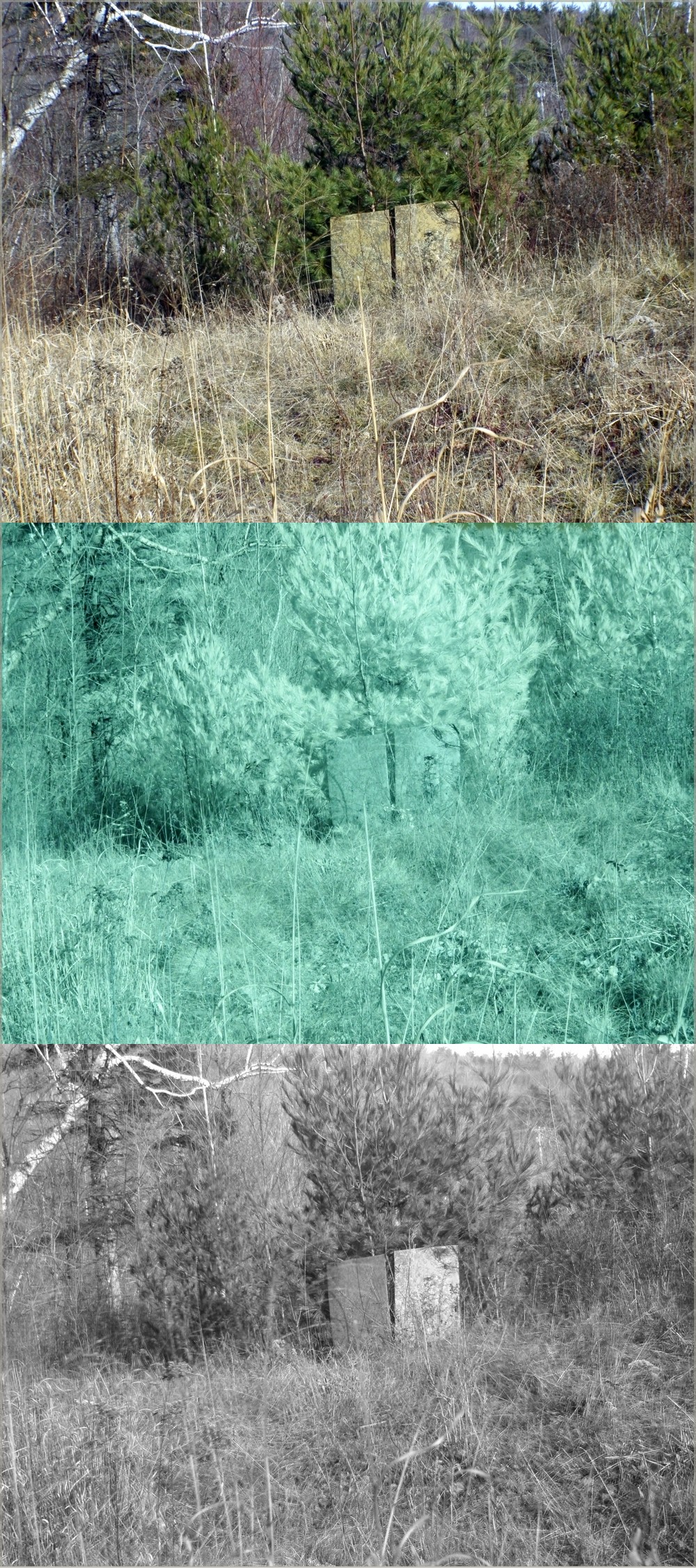 BLVisNIRUV1000px