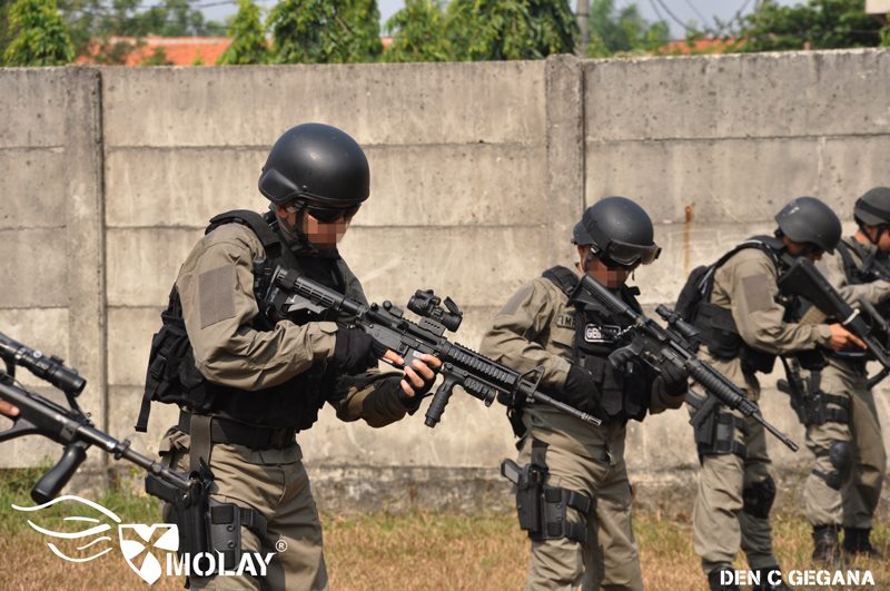 Molay PKU6